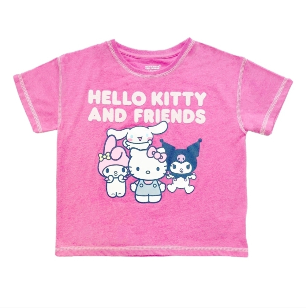 Hello Kitty and Friends Pink T-Shirt